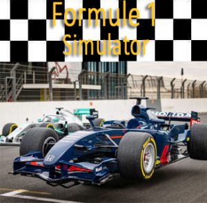 Formule 1 racesimulator van max verstappen replica